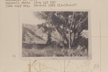 Camp of Galloway-Stone party at Mile 213 in Island Park