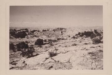 Across the San Juan and Colorado Rivers to the Henry Mountains.  From southwest mouth of Nasja Creek on plateau