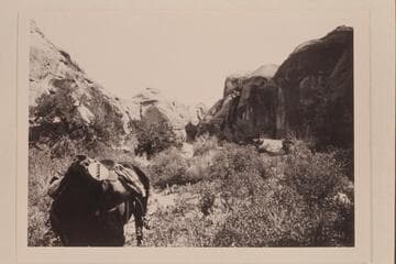 Looking back along trail out to west from Nasja Creek
