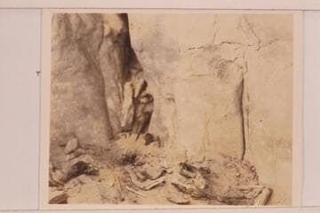 The skeleton above Paradise Canyon in Marble Canyon