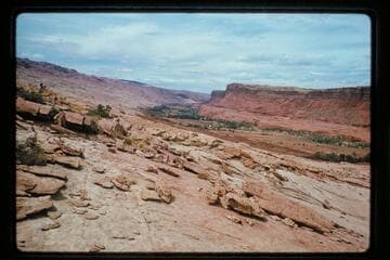 Down to Halls Creek from Waterpocket Fold above Baker's Ranch