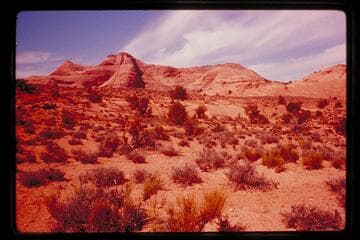 Cha Butte from Cha Canyon