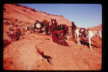 Top of divide between Bald Rock and Cha Canyons