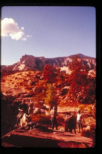 Navajo Mountain from Cha Canyon