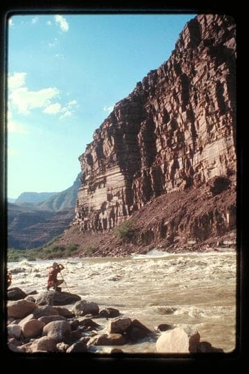 "Wee Yellow" tops Unkar