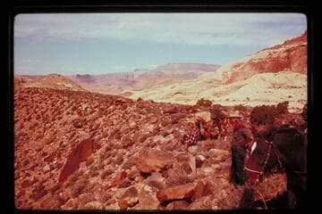 Down Black Water Creek from right bank trail
