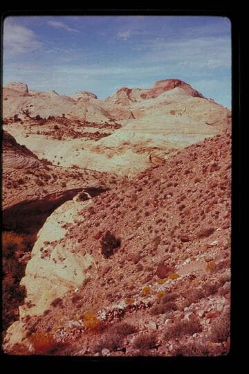Across Black Water Creek from right bank trail