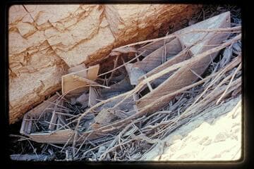 The Gem in God's Pocket