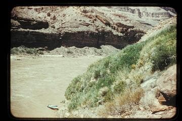 Spring below Deer Ck