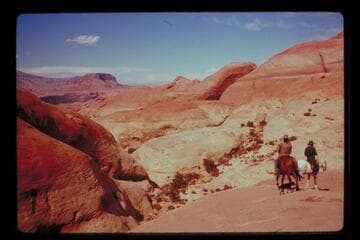 Trail from Black Water Creek into Moepitz