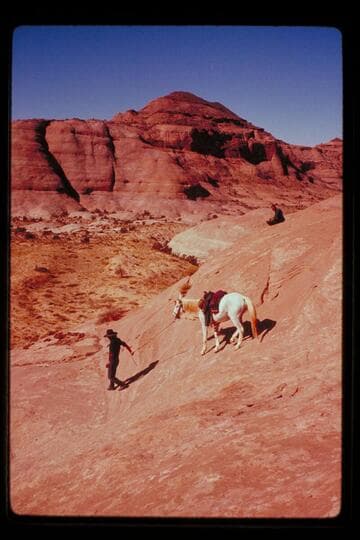 Trail down into basin north of 5014