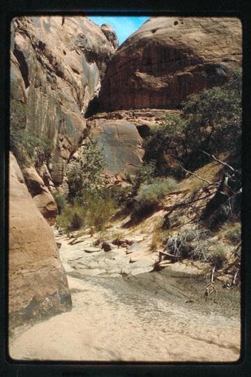 Fault north side of south fork