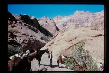 Up out of pass west of Nasja Creek