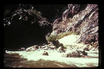 Hance Cr. (Sockdologer R.)