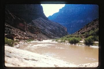 Up Little Colorado in flood