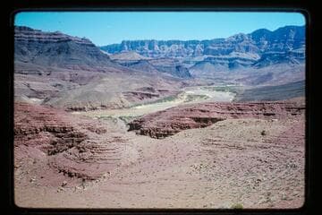 Up river from Cardenas Creek