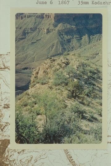 Route down top of Redwall into Flint Creek [Marston's date of 1867 is probably an error]