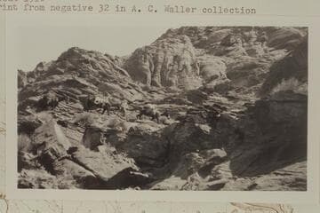 Pack string on trail to rim above Lees Ferry