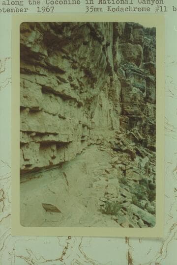 Trail along the Coconino in National Canyon