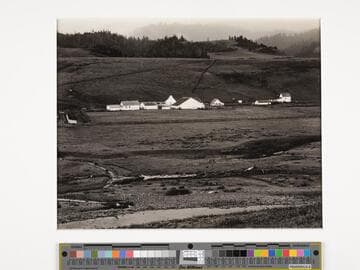 Point Arena, N. Coast