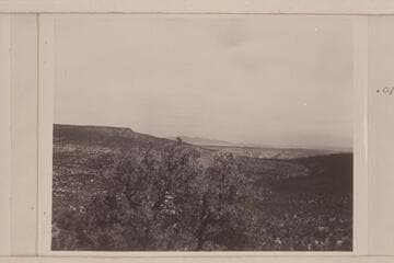 View into Mule Canyon from escarpment on the Shivwits Plateau.  The table land on the left is the end of Grassy Mountain.  In the distance, center is Mt. Emma.  The Grand Canyon is to the right and out of the picture