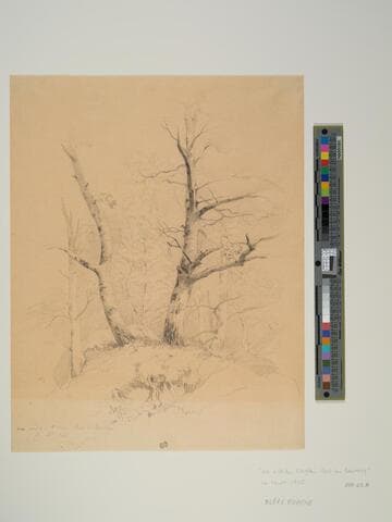 Au nid de l'aigle Bois de Bouhary