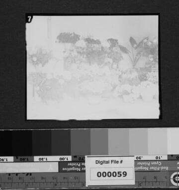 Flowers for Eliza A. Otis memorial service