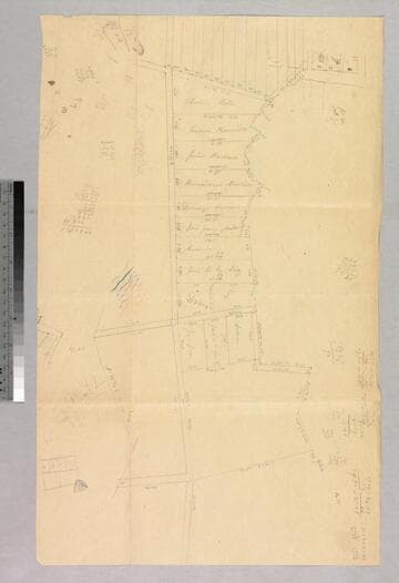 Rancho la Ballona : 1875 partition - sketch map of partition