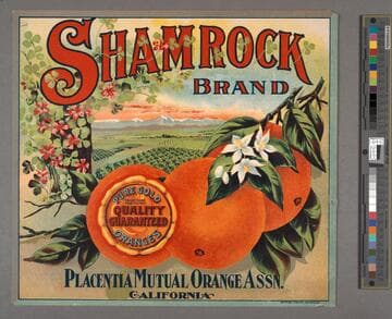 Shamrock Brand