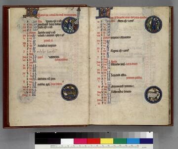 Psalter : [manuscript]