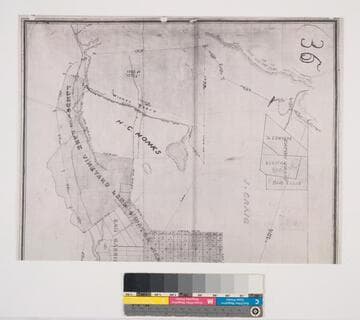 First sheet, of three, of the Map Showing the Property of the Lake Vineyard Land and Water Association