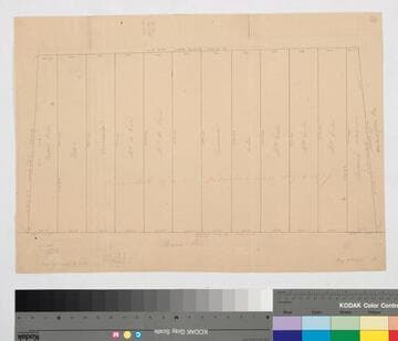 Celis Vineyard Partition