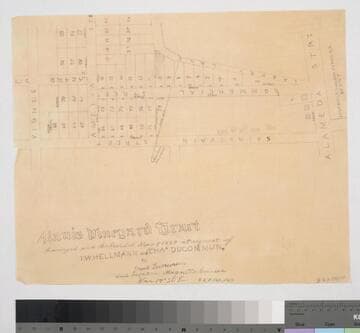 Alanis Vineyard Tract