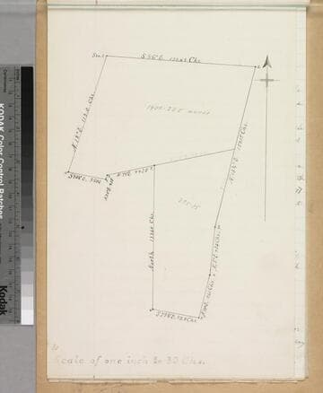 Rancho la Puente : S41 (Goodwin et al vs Rowland) - parcel map