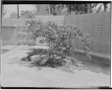 Landscaping for Jean Lawson: Cole residence