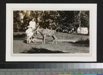 Woman and child feeding a deer