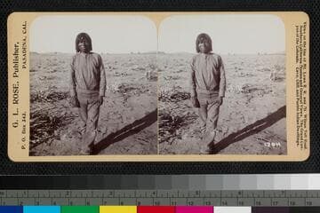 Portrait of a man standing in a harvested corn field