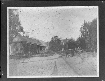 Two couples. one in a horse-