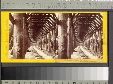 247. Frame of Snow Covering