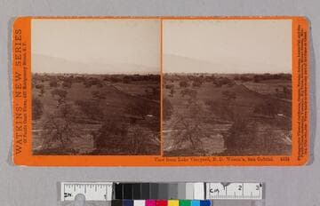 View from Lake Vineyard, B. D. Wilson's, San Gabriel