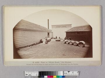 View at "Sunny Slope," San Gabriel