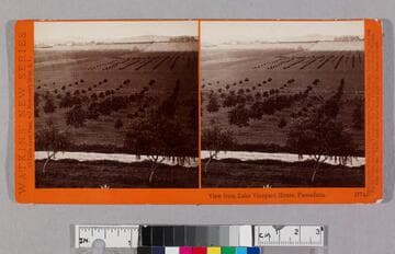 View from Lake Vineyard House, Pasadena