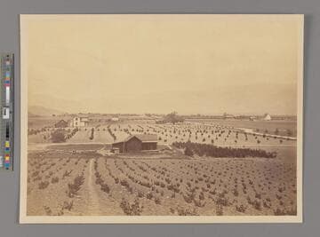 [Indiana Colony, Los Angeles County]