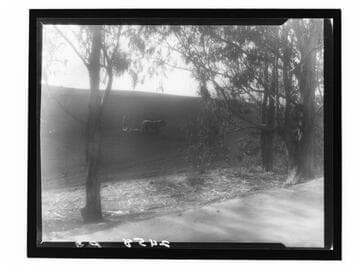 Spring harrowing in vegetable garden, Westwood