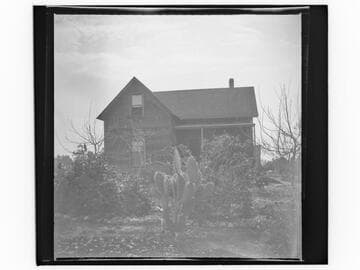 Unidentified house with cactus in front