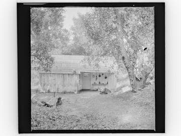 Unidentified house in wooded area with items hanging outside door