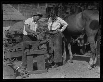 Horseshoeing, Santa Monica Riding Academy