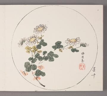 Chrysanthemums in Round Design