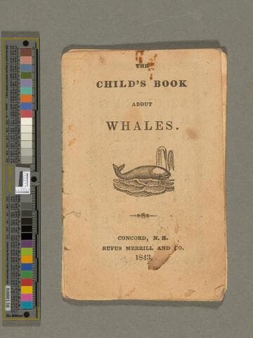 The Child's book about whales