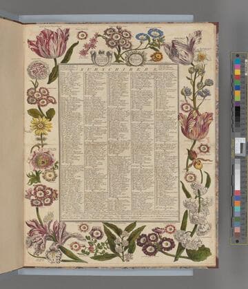 Twelve months of flowers